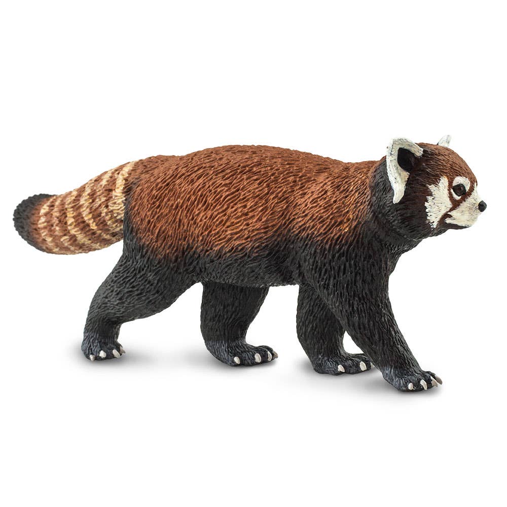 Safari Ltd. - Wholesale Figurine Toy - Kids - Red Panda - 1003202