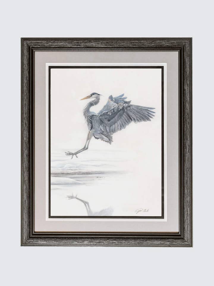Heron Fine Art Giclee Print 'The Art of Landing' for wholesale by Crystal Clarke Animal Art