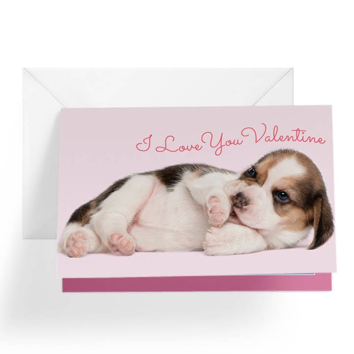 Tarjeta de San Valentín | I Love You Puppy Cálido y Fuzzy para venta al por mayor de 1Up Greetings LLC