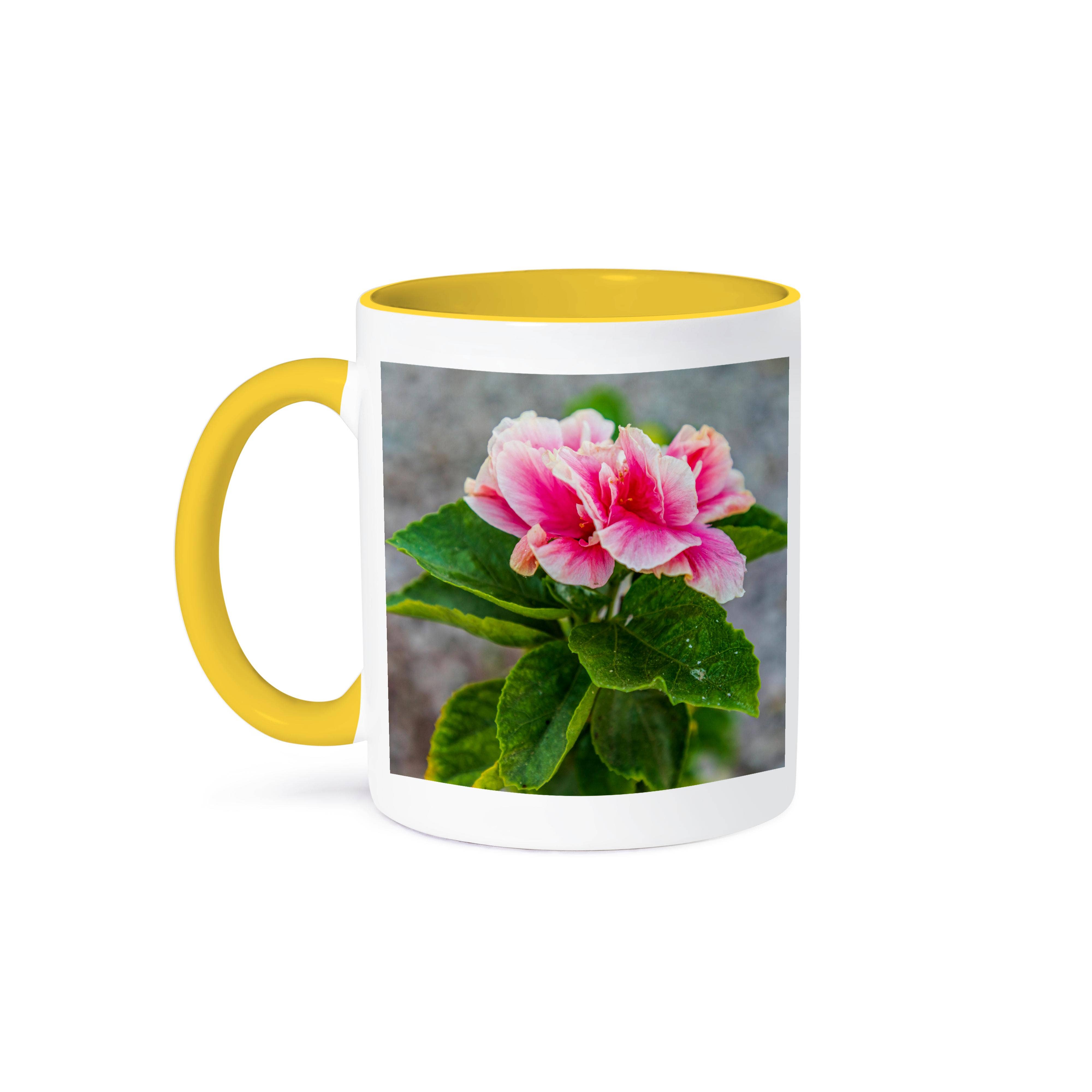 3dRose - Wholesale Coffee Mug - 3dRose, Loreto, Baja California Sur, Mexico. A pink flower along the street., Mug0