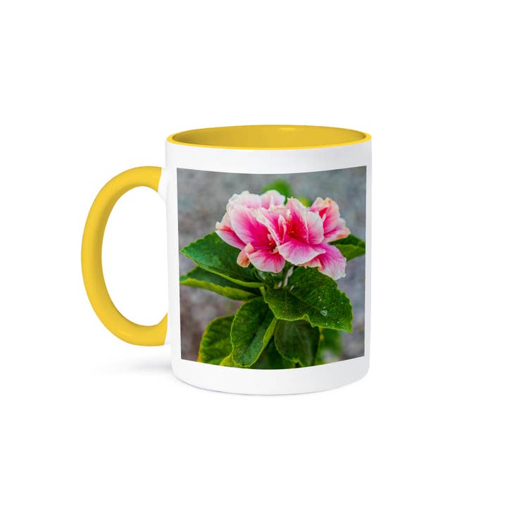 3dRose - Wholesale Coffee Mug - 3dRose, Loreto, Baja California Sur, Mexico. A pink flower along the street., Mug
