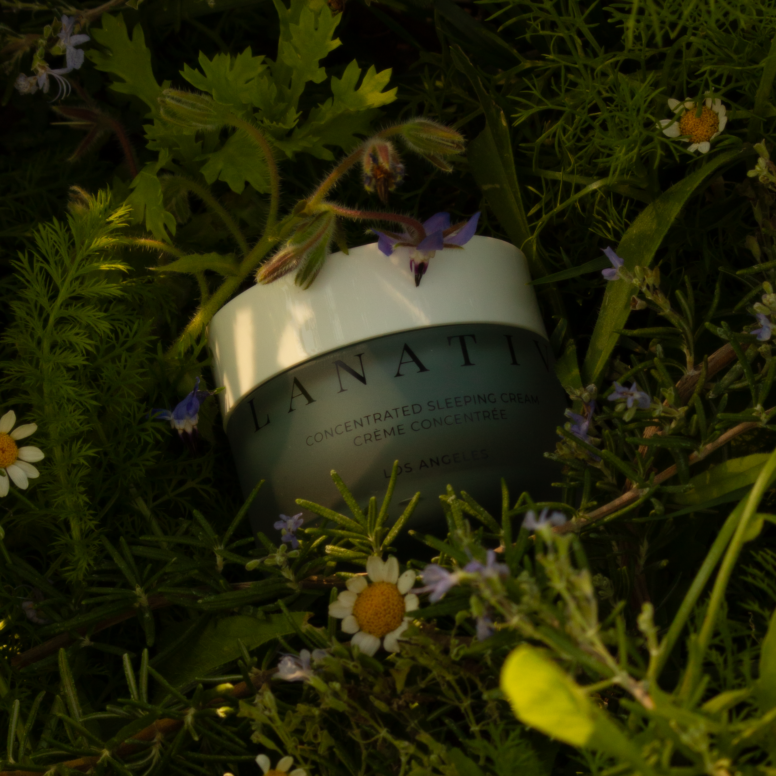 Lanativ - Wholesale Night Cream - Concentrated Sleeping Cream: Blue Tansy Reparative Balm3