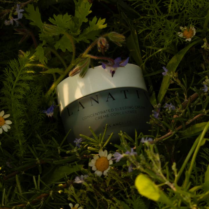 Lanativ - Wholesale Night cream - Concentrated Sleeping Cream: Blue Tansy Reparative Balm3