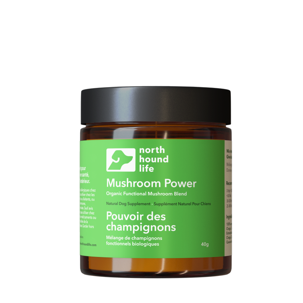 North Hound Life - Wholesale Pet Supplement - Dog - Mushroom Power | Five Mushroom Superblend0