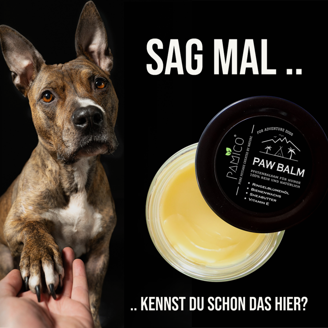 PAMICO - Wholesale Pet Paw Protection - Paw care for dogs1