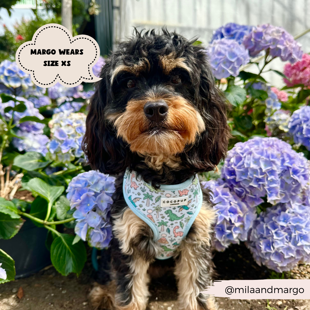 Cocopup London - Venta al por mayor Arnés - Perros - Arnés ajustable para cuello Dinopaws6