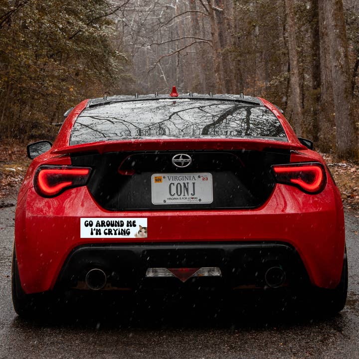 Radical Buttons - Wholesale Sticker - Funny bumper sticker, Car sticker, Go around me I'm crying1