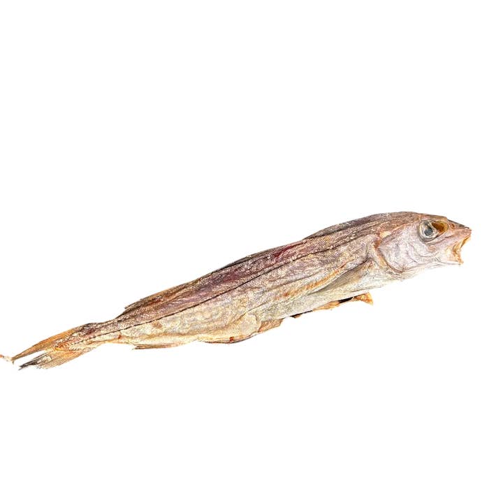 Whole whiting fish / Dog treat for wholesale by JF animalerie