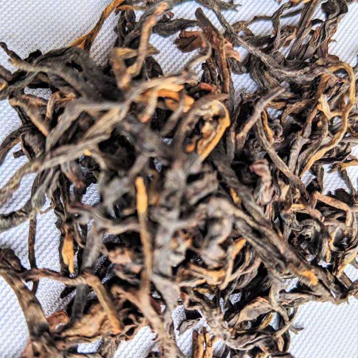 Orgânico e Comércio Justo Golden Yunnan por atacado de Cultivate Taste Tea