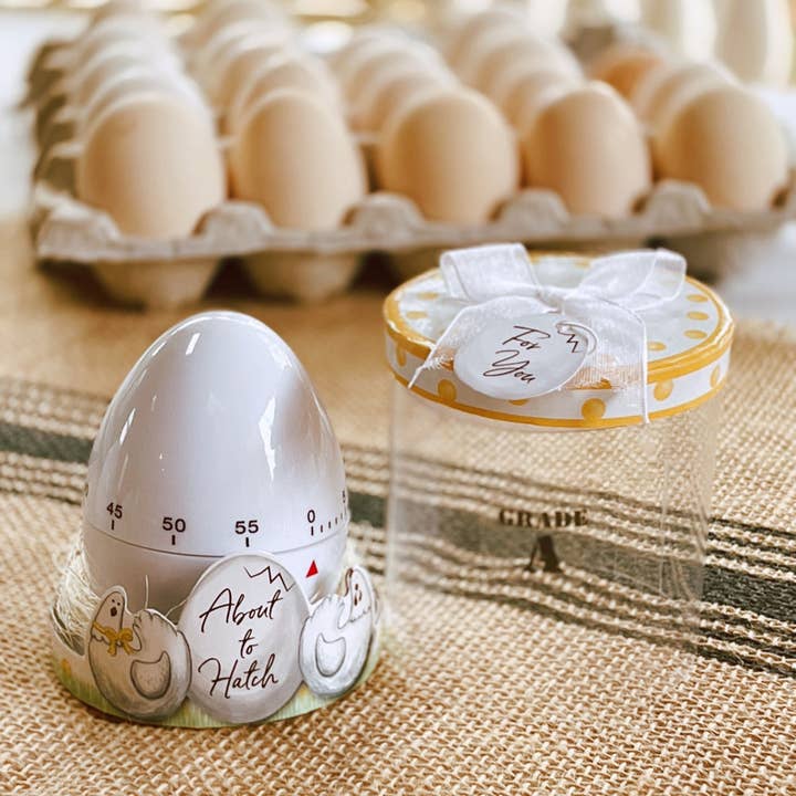 Kate Aspen - Wholesale Timer - About to Hatch Kitchen Egg Timer6