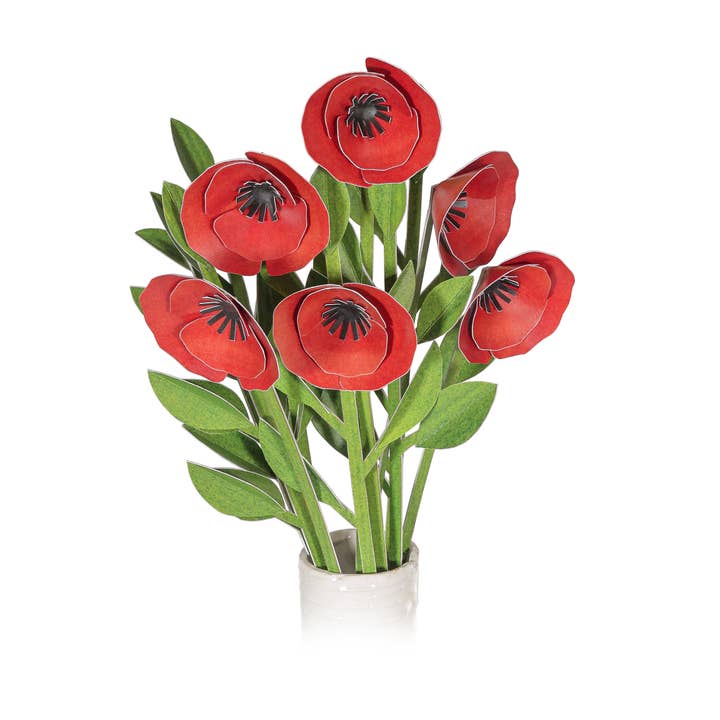 Poppy Mini Garden Craft Kit for wholesale by pukaca