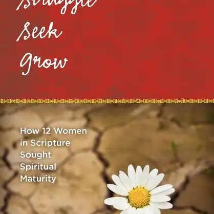 Books by splitShops - Wholesale Religion - Struggle Seek Grow - Paperback0
