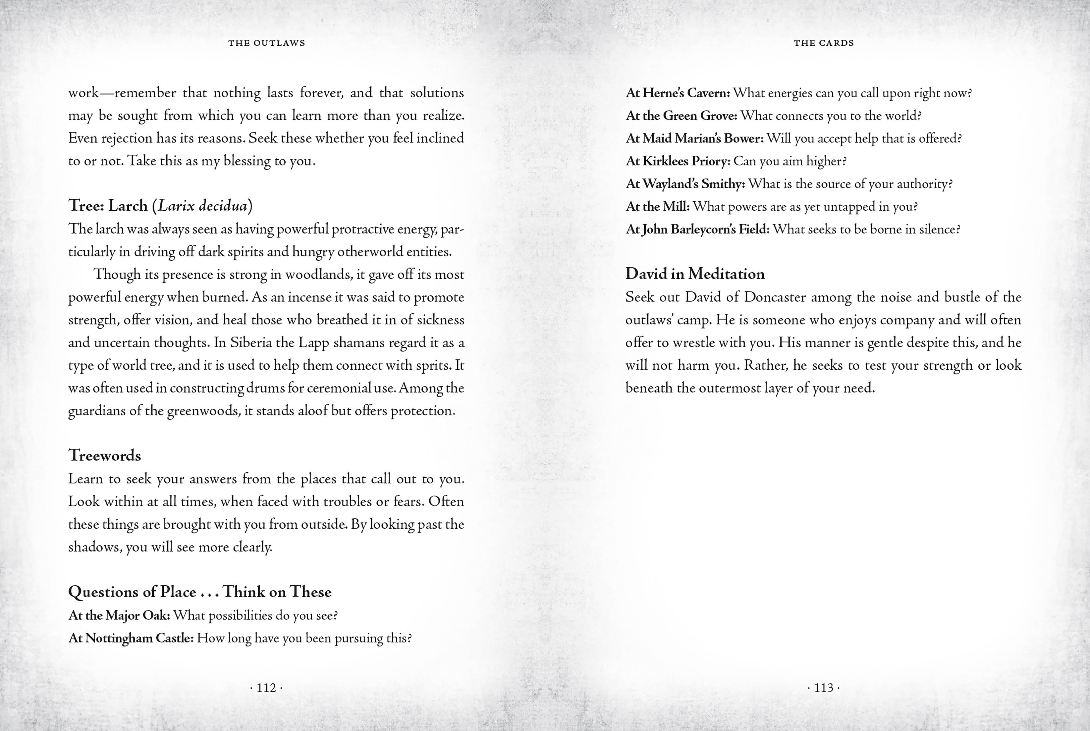 Hachette Book Group - Wholesale Tarot Cards - The Sherwood Oracle: Hidden Lore of the Wild Forest12