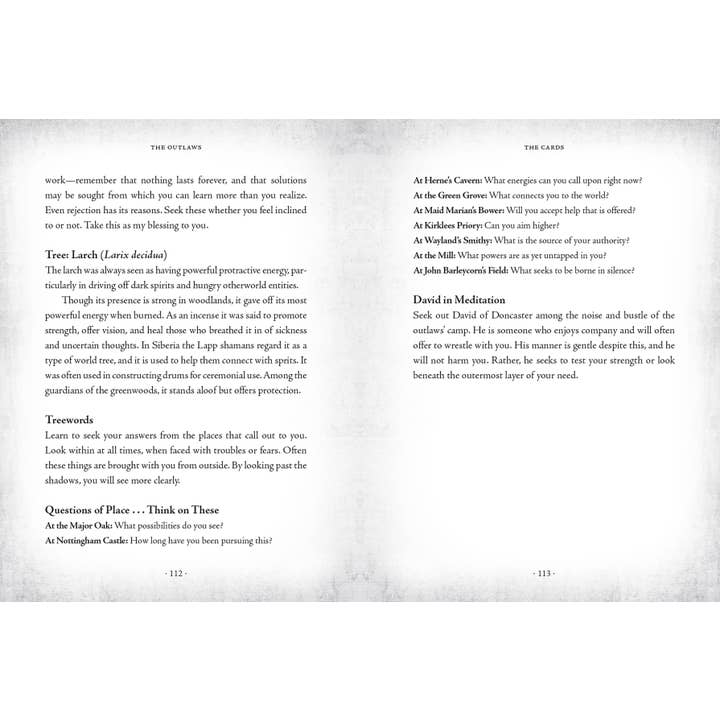 Hachette Book Group - Wholesale Tarot Cards - The Sherwood Oracle: Hidden Lore of the Wild Forest12