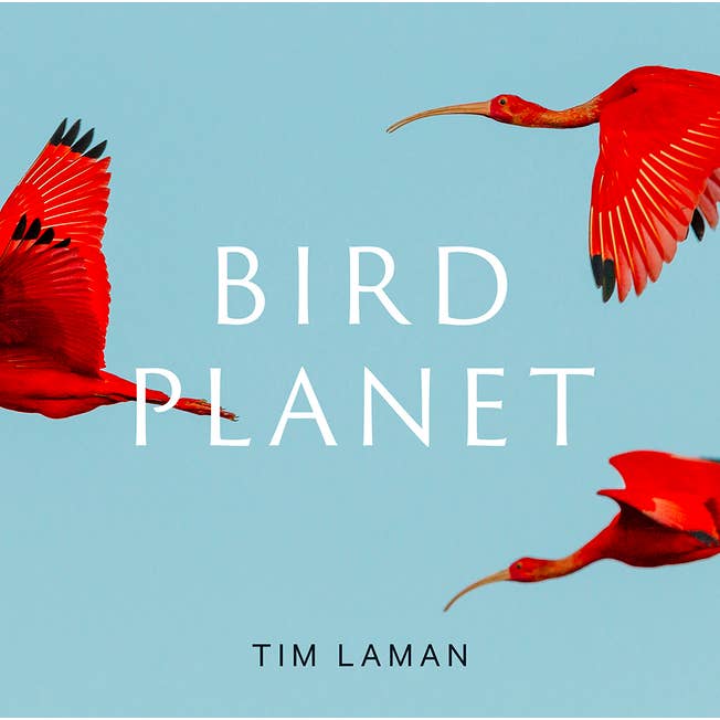 Bird Planet: A Photographic Journey for wholesale by Bradley's Book Clearance