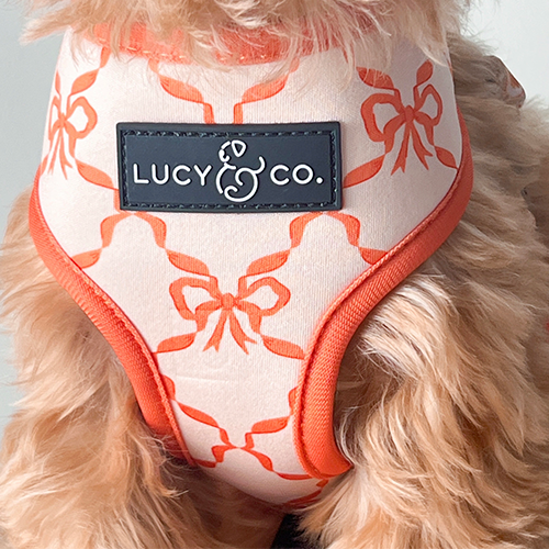 Lucy & Co. - Venta al por mayor Arnés - Perros - Arnés Reversible Cozy Cottage3
