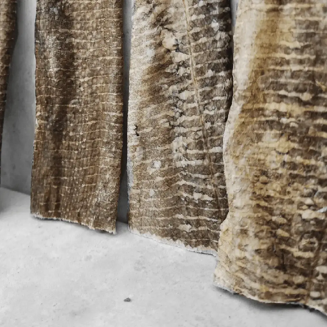 Goodchap's - Wholesale Pet Treats - Dog - Whitefish Jerky | CDU of 14 Packs3