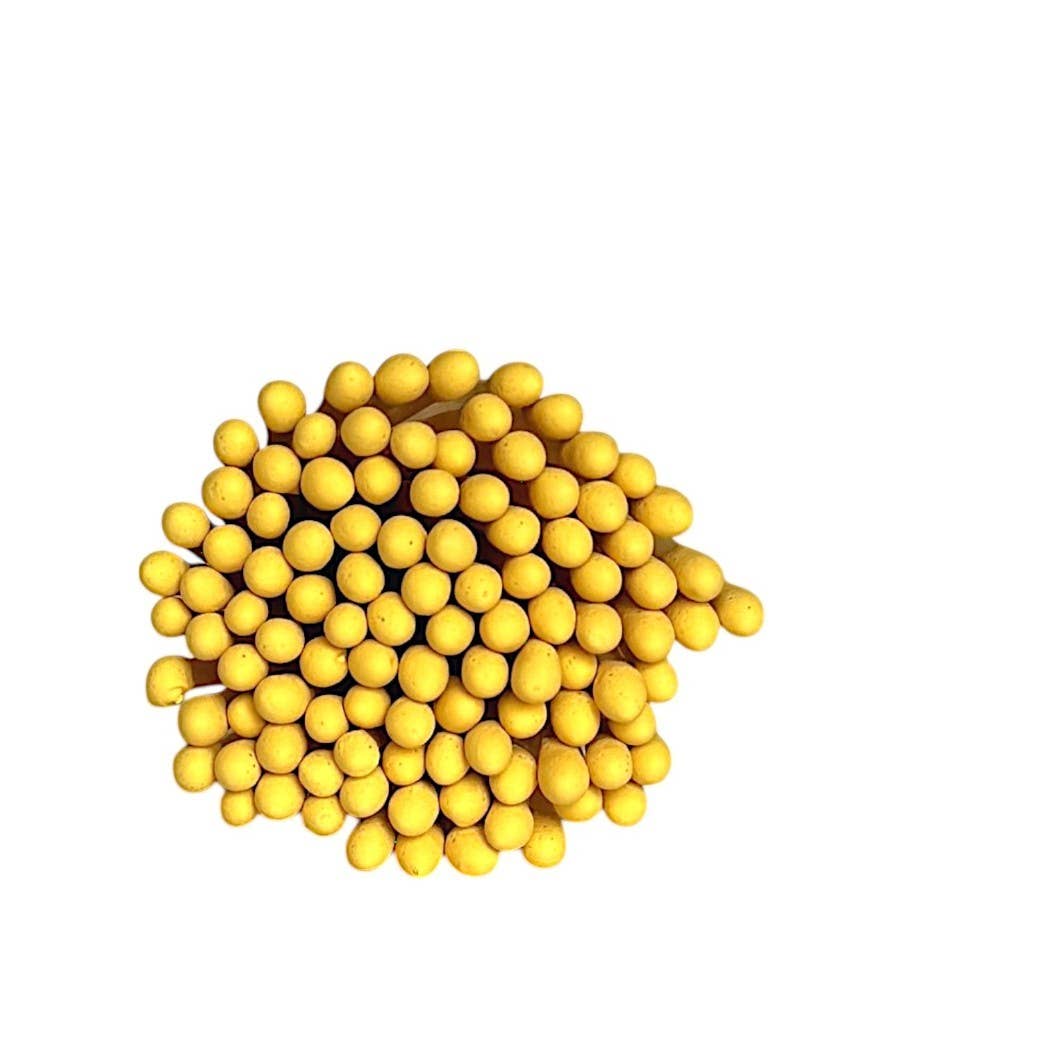 CJ Gift Goddess - Wholesale Match Holder - Concrete Match Holder/Toothpick Holder: Includes 25 Matches12