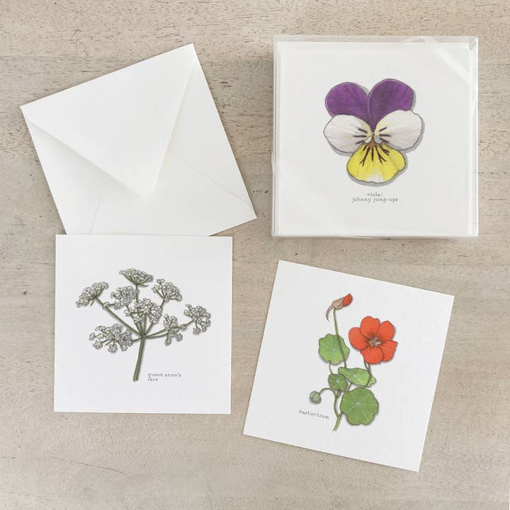 Box Set Cards / Flowers 02 for wholesale by Yeesan Loh