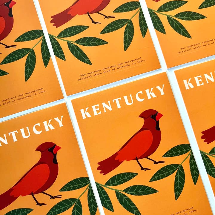 Jessica Holly Creative - Wholesale Postcard - Kentucky State Bird Cardinal Soft Touch Postcard, 4x6in3