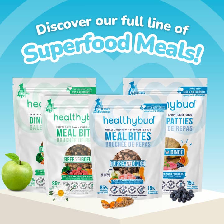 Healthybud - Wholesale Pet Food - Dog - Healthybud's Freeze-Dried Beef Meal Bites for Dogs6