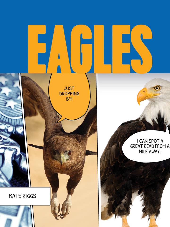 Eagles for wholesale by The Creative Company