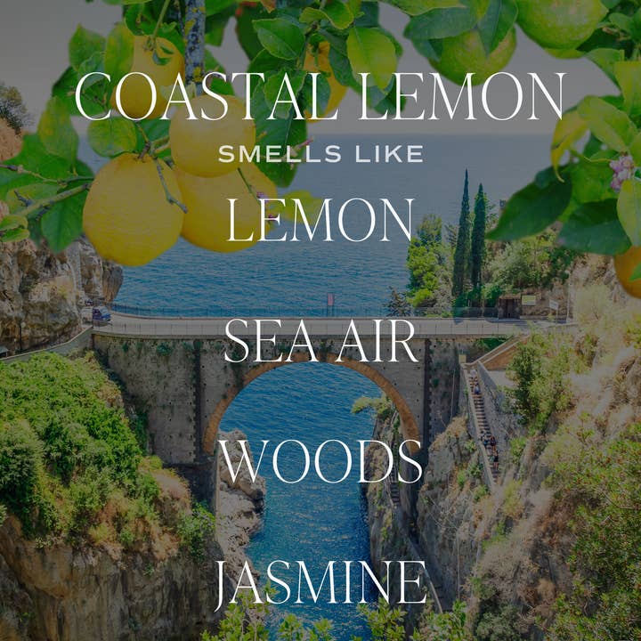 Sweet Water Decor - Wholesale Jar/Filled Candle - *NEW* Coastal Lemon 11 oz Soy Candle - Home Decor & Gifts