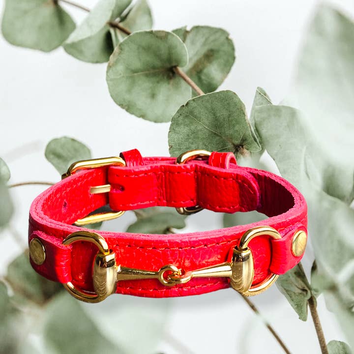 PupWiser - Wholesale Pet Collar - Dog - PRINCESS GRACE Handmade Leather Dog Collar (Maroon)1