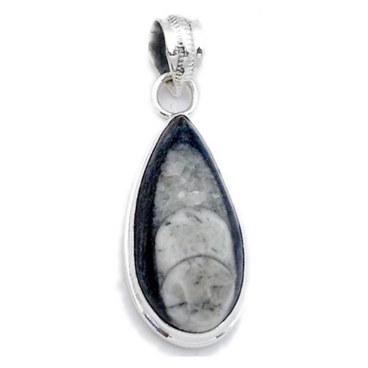 La Boîte à Cailloux - Wholesale Individual Charm/Pendant - Orthoceras pendant Morocco AAA silver 925