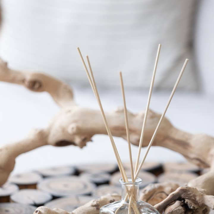 Eco Candle Company - Wholesale Reed Diffuser - reed diffuser BEACH HOUSE2