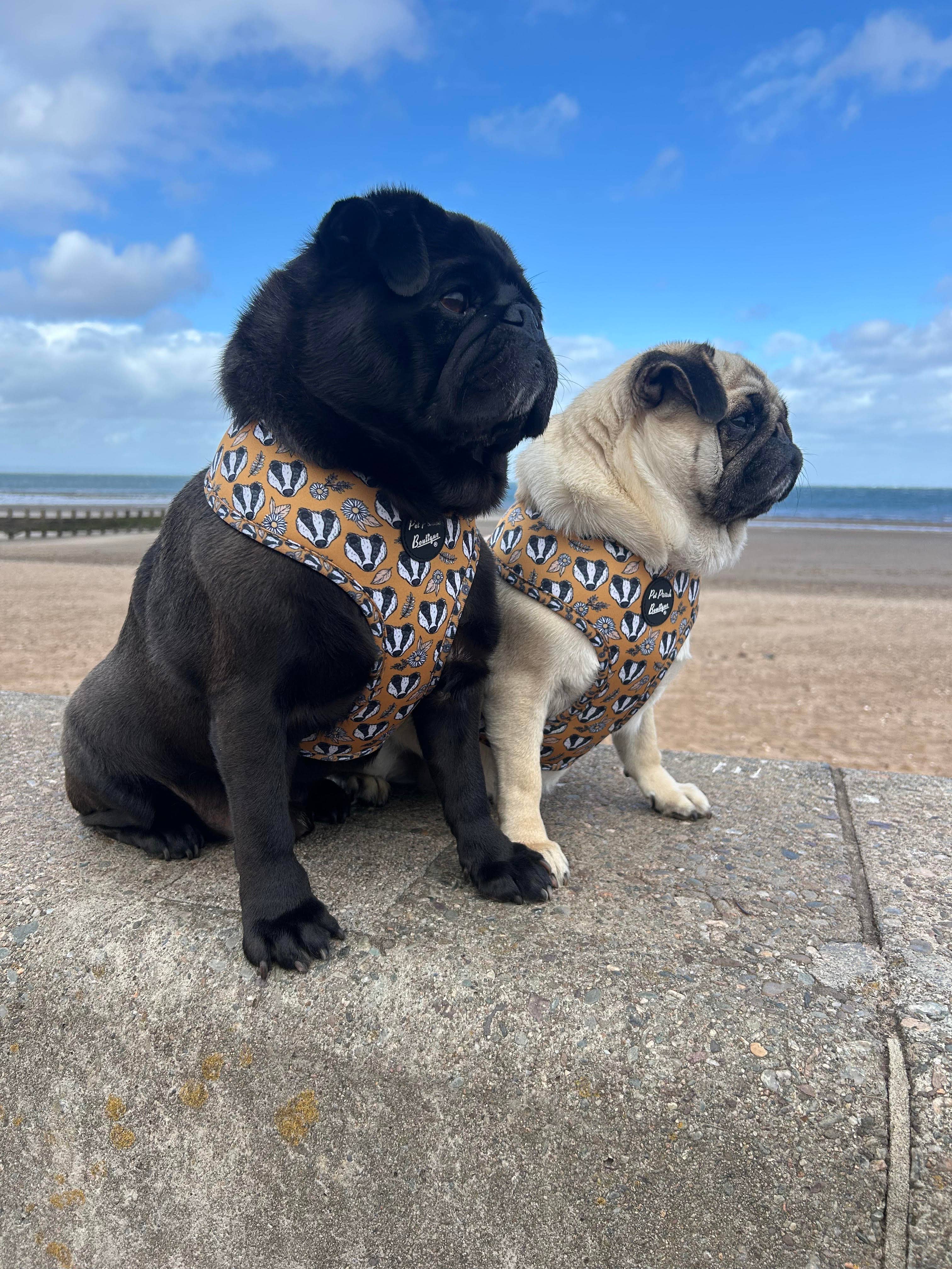 Pet Pooch Boutique – wholesale Pet harness – Dog – Woodland Badger Puppy Dog Harness (Autumn/mustard yellow)7