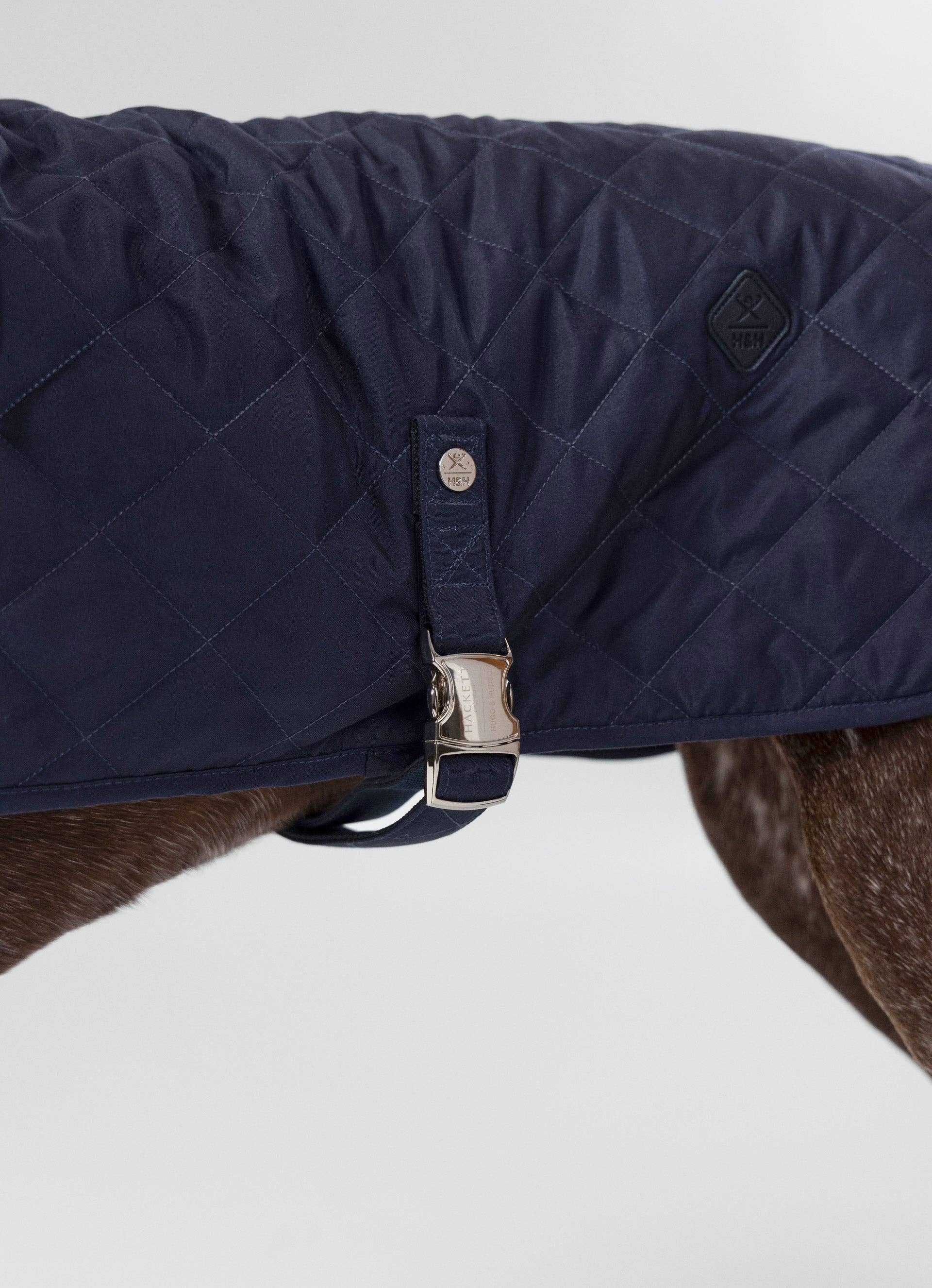 Hugo & Hudson - Wholesale Pet Jacket - Dog - Hackett x Hugo Hudson Navy Quilted Dog Jacket3