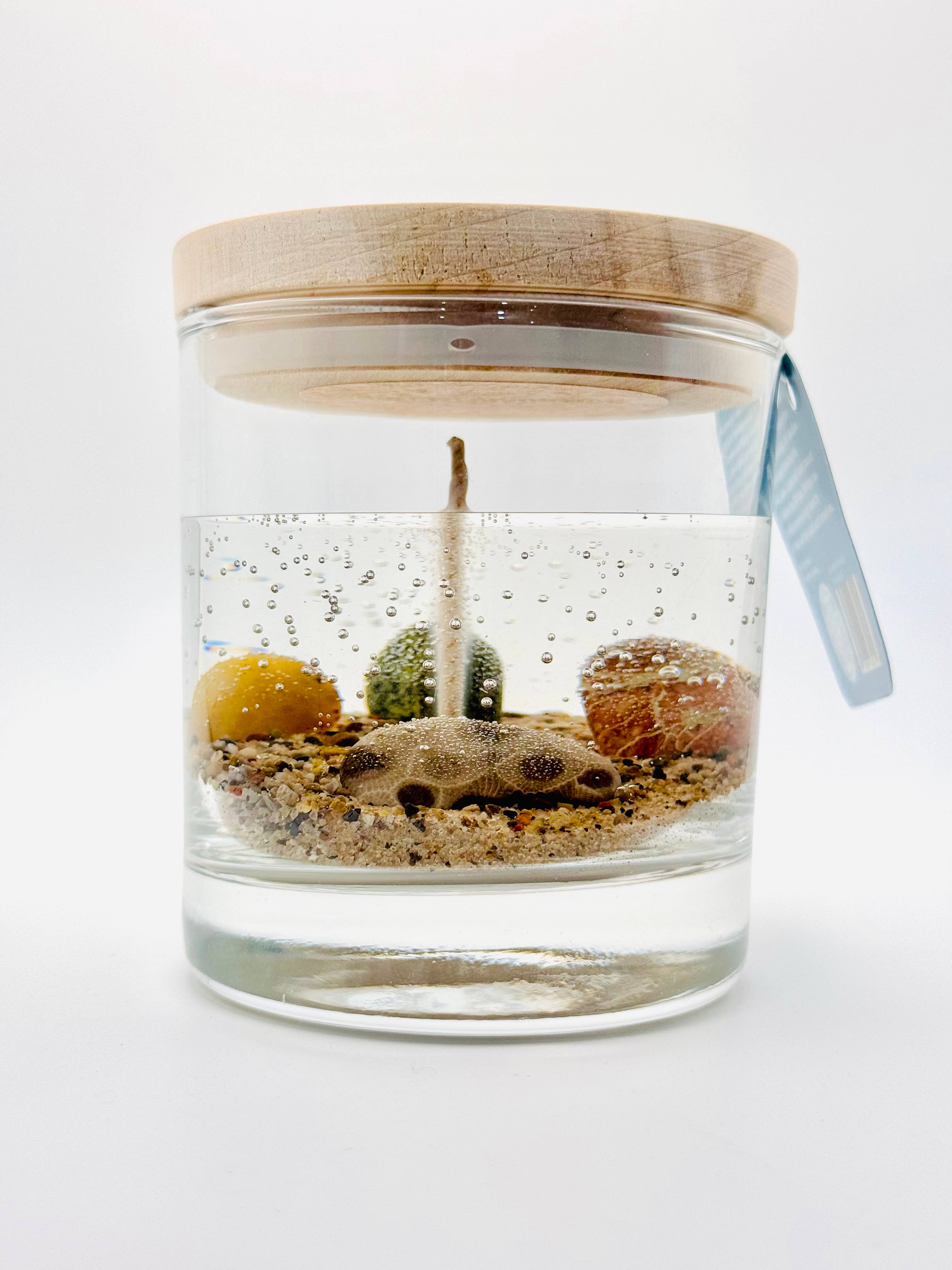 Rock Bottom Candle Company – Engroshandel Glaslys – Cedar Pine Rock Lys, 10 oz1