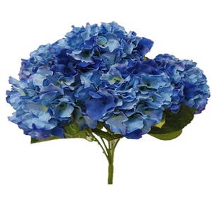 Purchase Wholesale blue dried flowers. Free Returns & Net 60 Terms on Faire