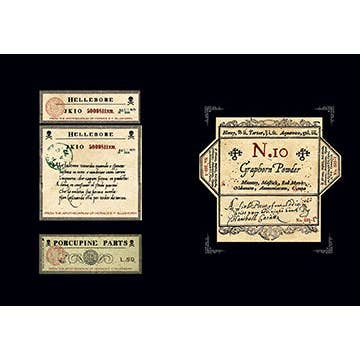 Insight Editions - #1 Pop Culture Publisher - Wholesale Display Book - The Art of Harry Potter: Mini Book of Graphic Design4