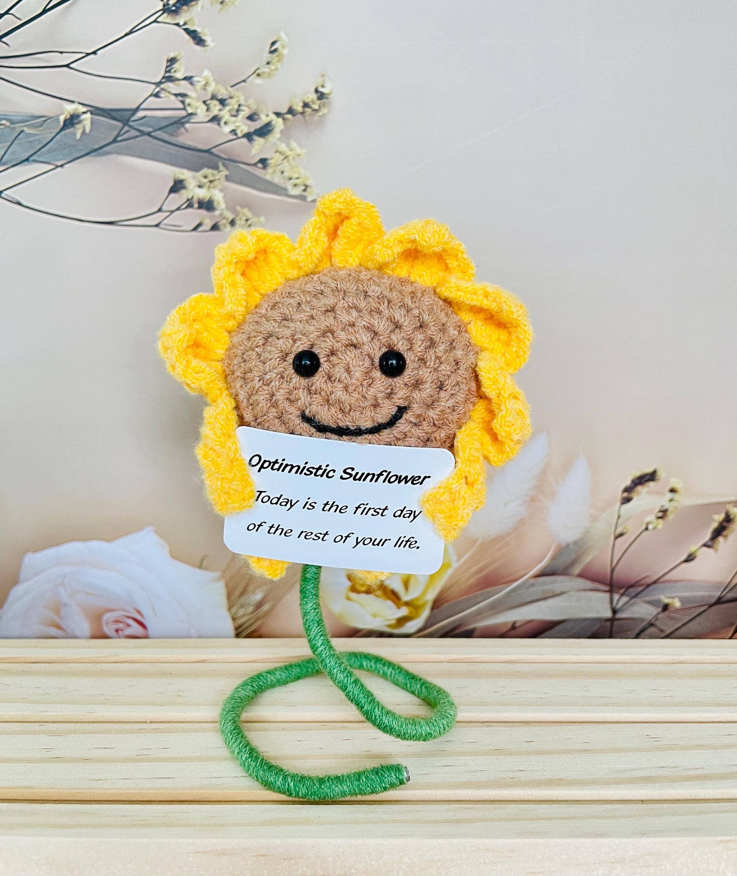 TOMOPOD LLC – wholesale Christmas decoration – Crochet Cactus Succulent Plant Emotional Support3