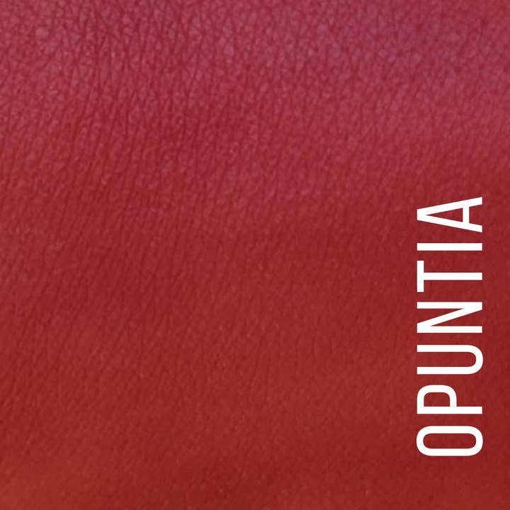 Terra Stoma - Wholesale Lipstick - LIP CHARM - Lipstick28