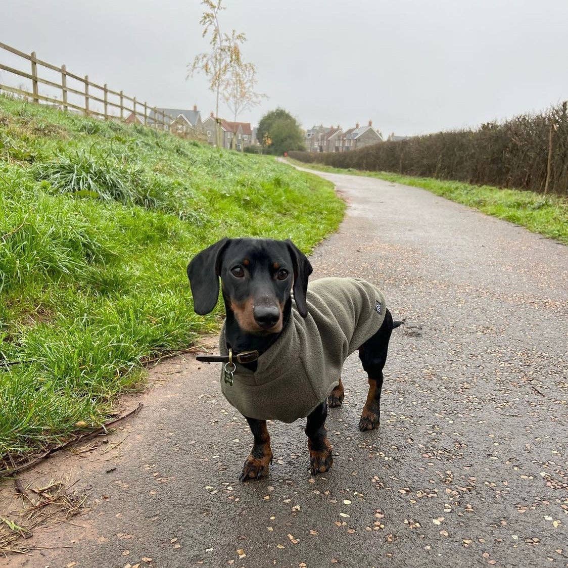 Doghouse – wholesale Pet jumper – Dog – Dachshund Fleece Jumper15