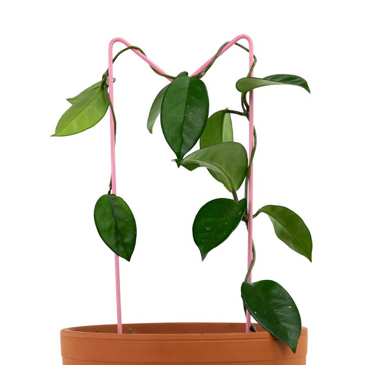 „M“ Metall-Pflanzengitter – 16,25” Stütze für Pflanzgefäße für den Großhandel von Mossify