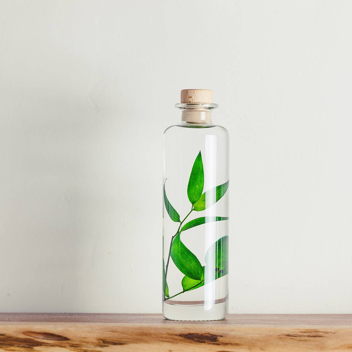 Theophile Berthon - Vente Plante - L'Herbarium Ruscus vert - plante immergée5