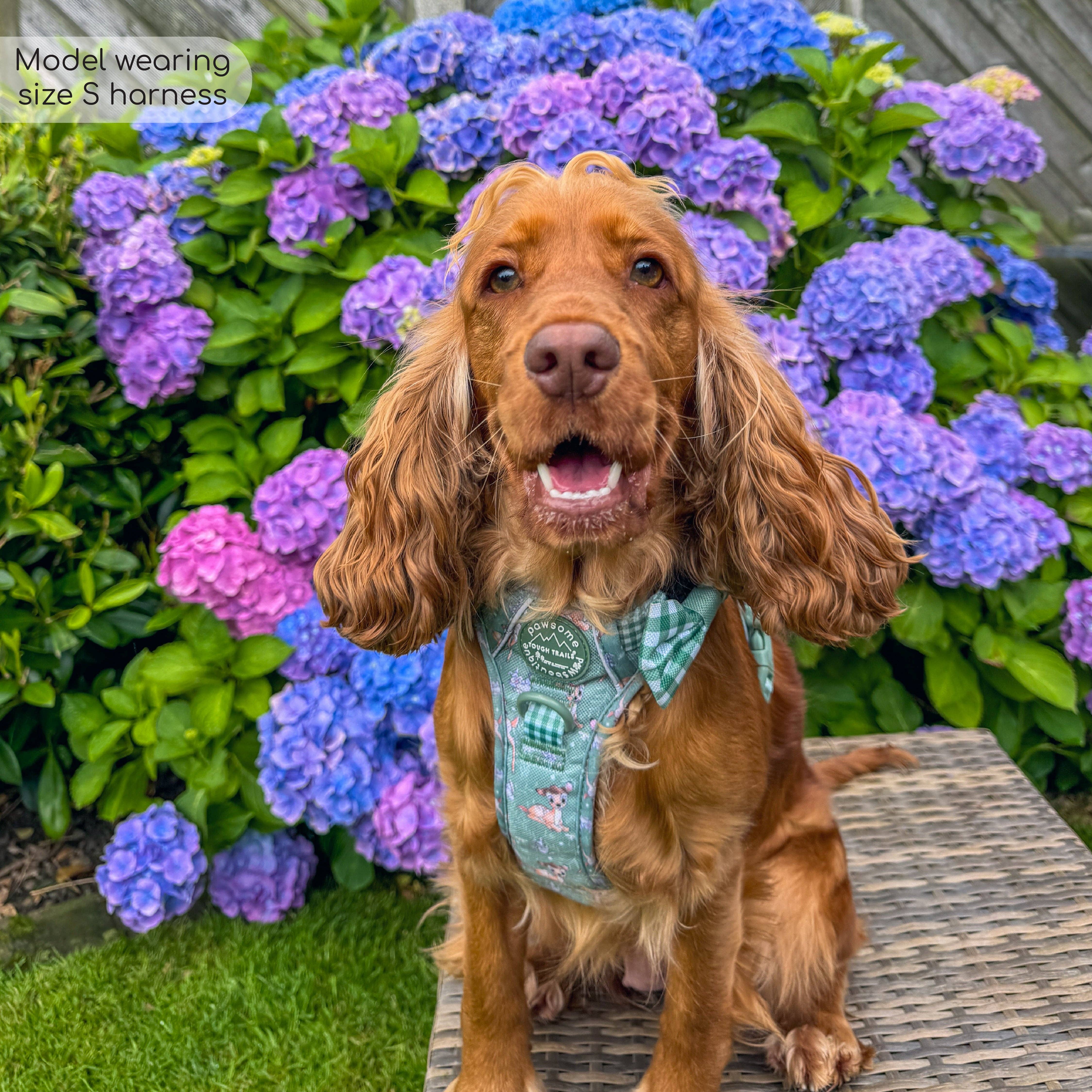 Pawsome Paws - Wholesale Tuig voor huisdieren - Hond - Disney© Tough Trails™ tuigje - Bambi en Stampertje11