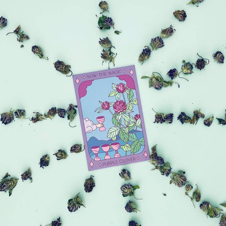 Sow the Magic - Venta al por mayor Semillas de plantas - Tarot Garden de trébol morado+paquete de semillas de regalo
