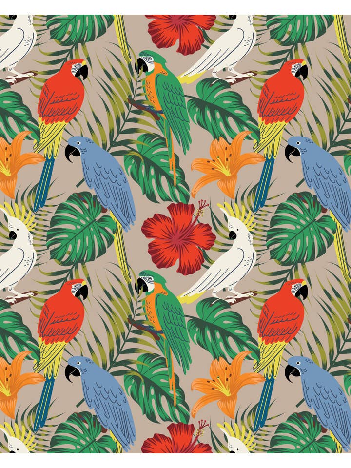 Poplin and Co. - Wholesale Shorts - Women's - Women's Exotic Birds Print Shorts