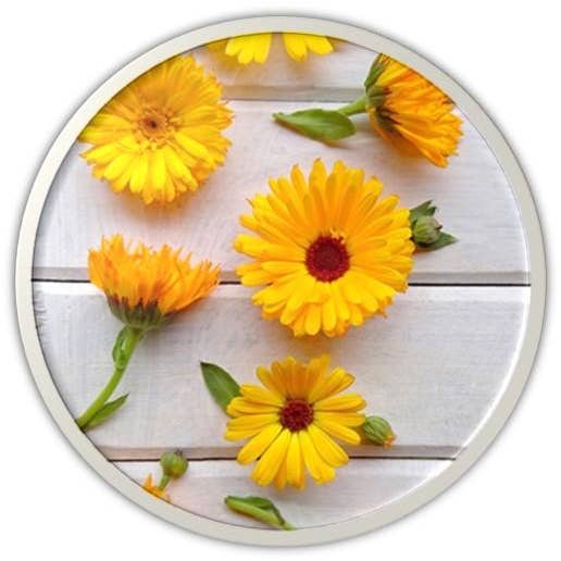 DR.HC Cosmetic Lab – wholesale Ansiktstoner – Calendula kronärtskocka toner (70 ml, 2,4 fl.oz.) (Anti-akne, anti-ärr, hud återhämtning, Pore krympande...)3