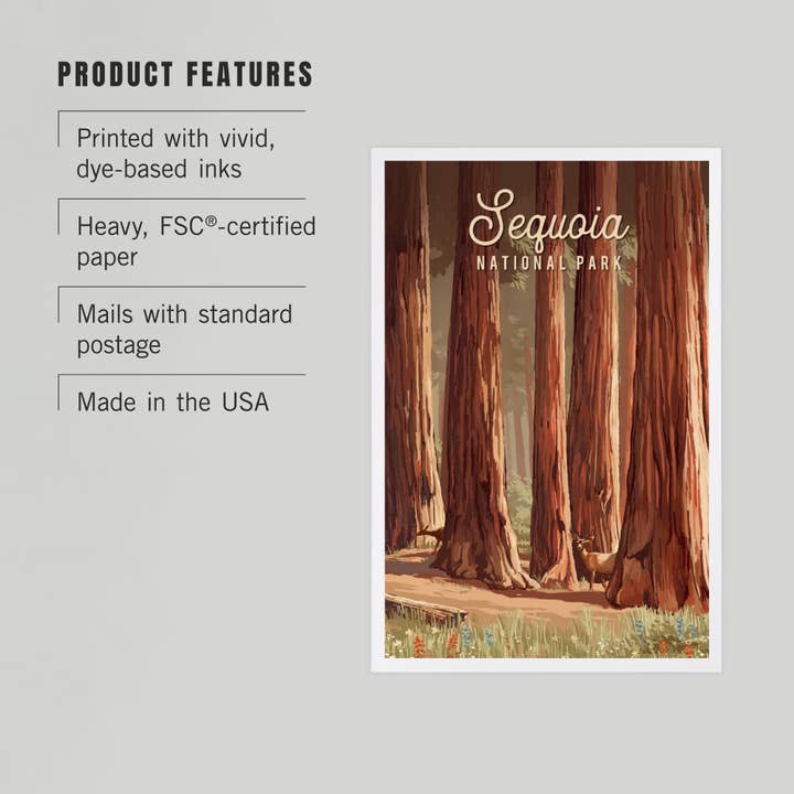 Lantern Press - Wholesale Postcard - PREMIUM POSTCARDS Sequoia National Park, California2