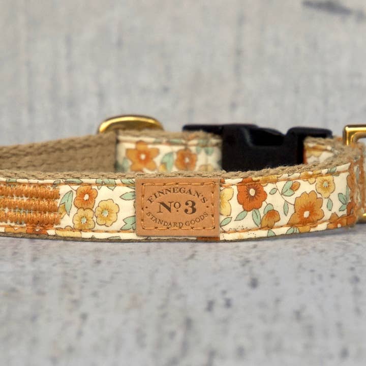 Colarinho de 3/4" Buttercup por atacado de Finnegan’s Standard Goods