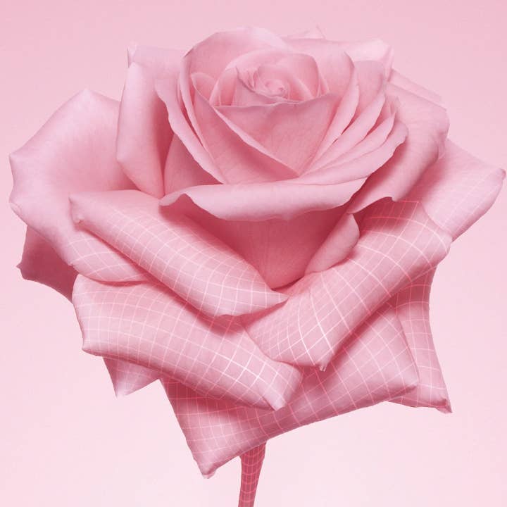 Beauty Goddess – wholesale Facial serum/concentrate – Pat McGrath Divine Skin: Rose 001™ The Essence, 100ml2