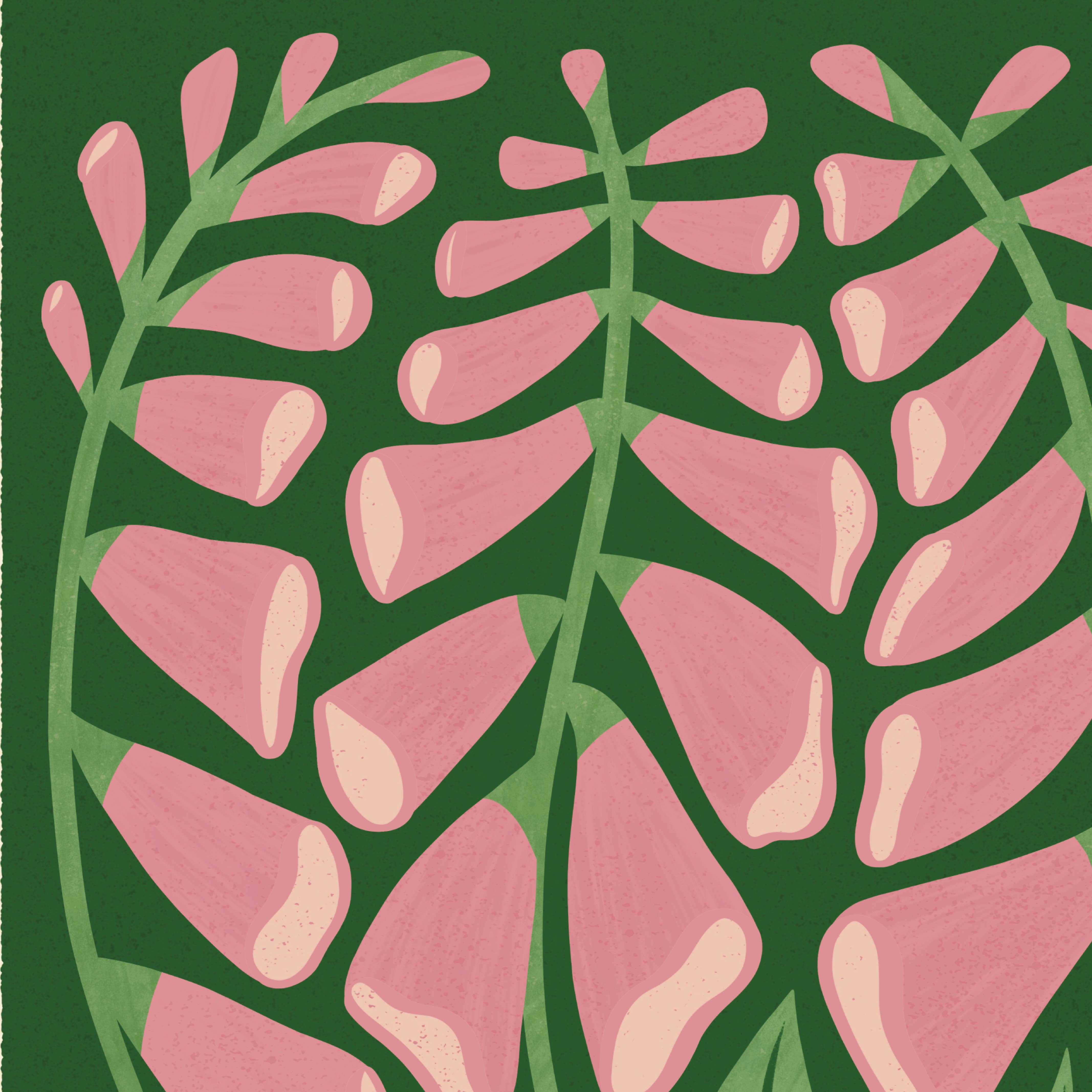 Bird & Co Studio - Vente Affiche d'art - Foxglove | Impression artistique de fleurs sauvages à la fois moderne et rétro | Décoration murale2