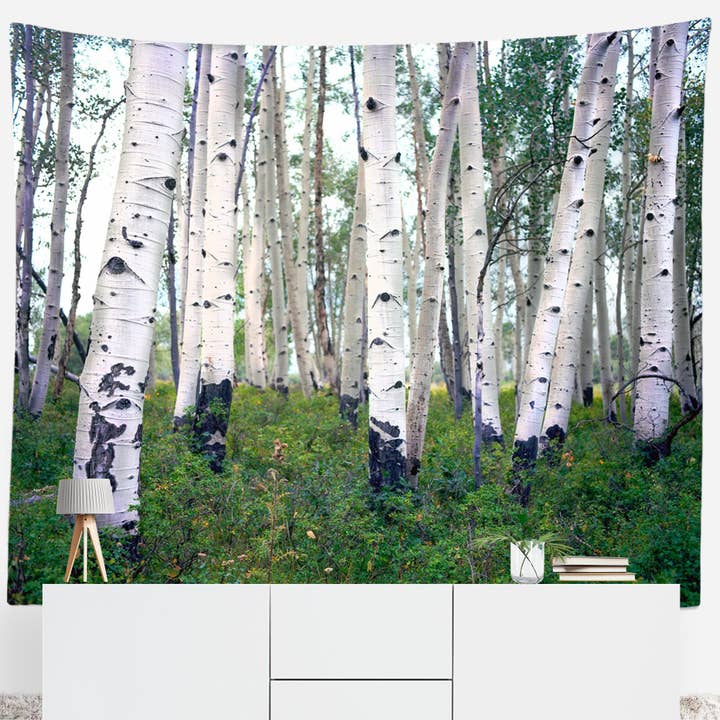 Mountain Birch Forest Wall Tapestry, Birch Trees, Utah Wall Art for wholesale by lostkatphoto