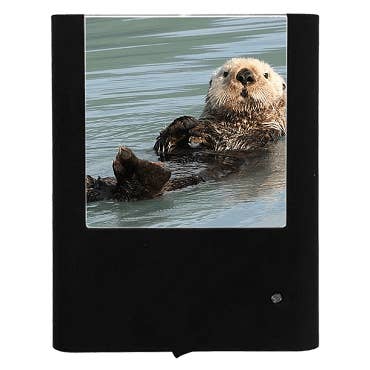 Sea Otter for wholesale by Nightlight Studio